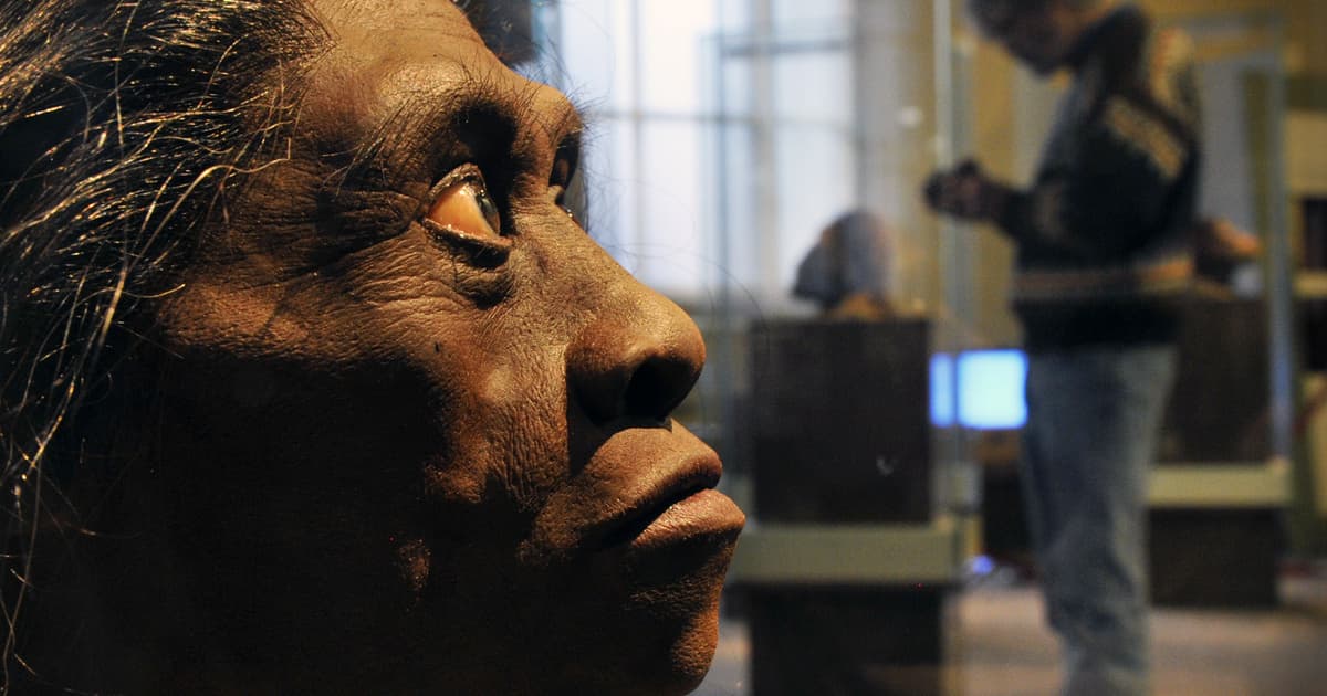 A hobbitok végzetes találkozása őseinkkel