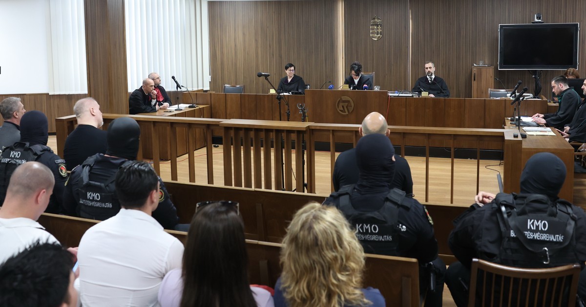Eltűnt magyar bajnok tragédiája: 540 millió forint és egy elásott múlt